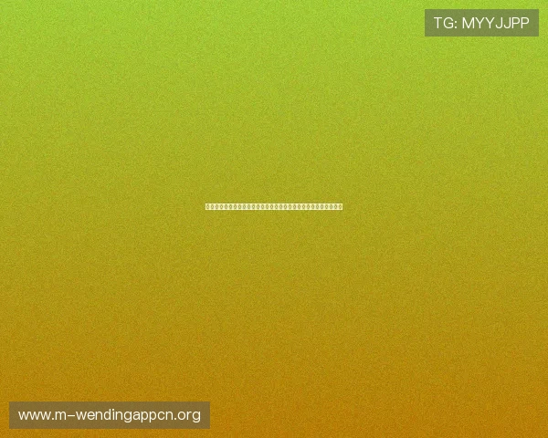 第一时间掌握世界杯明星球员实时动态全方位解读比赛中的明星表现